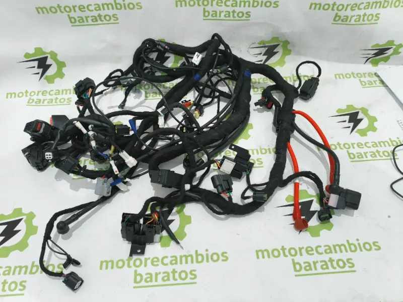 Instalación Eléctrica Voge 900 DSX 2025
