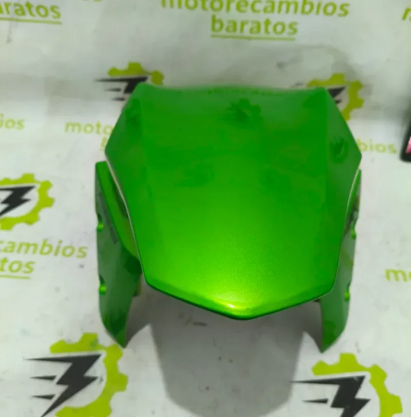 Guardabarros Delantero Kawasaki Z900 (20-23)