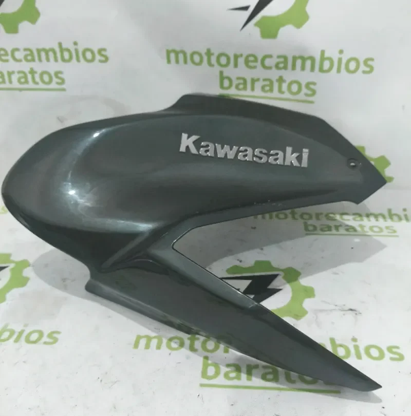 Carenado Lateral Derecho Depósito Kawasaki Z900