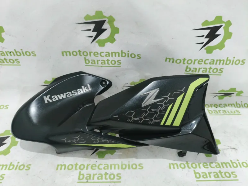 Carenado Kawasaki Z900