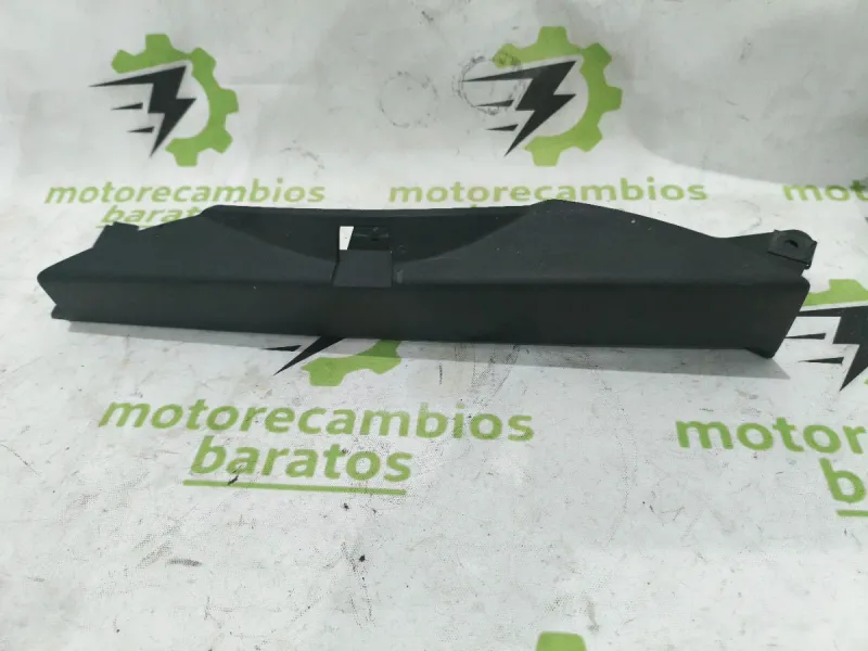Protector correa exterior BMW F800S 2007