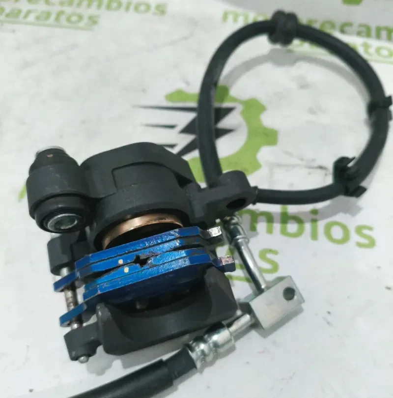 Pinza Freno Trasera Kawasaki Z900