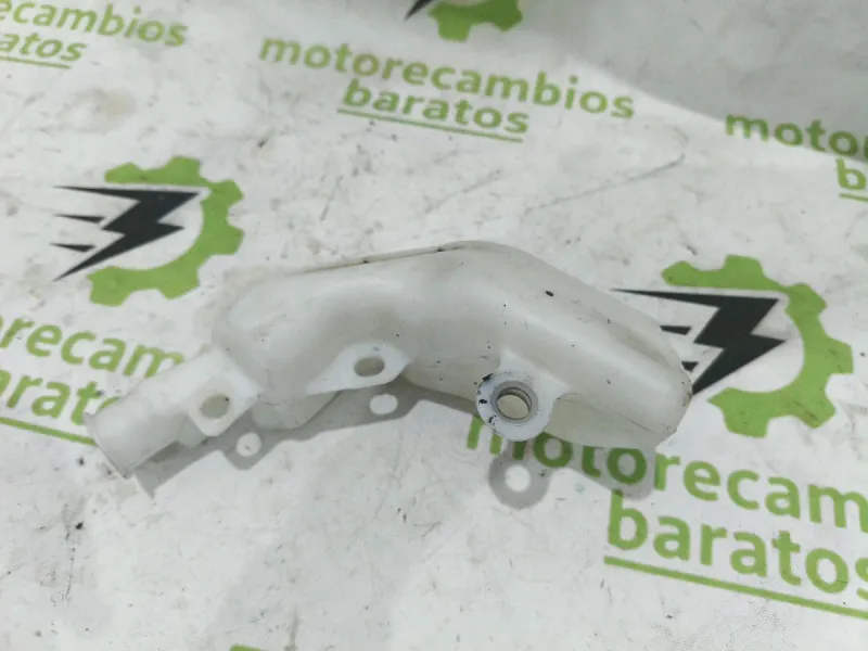 Vaso Expansor Yamaha MT-09 SP